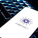 Cardano fordert den Marktabschwung heraus: Explosion von Entwicklung und Aktivität