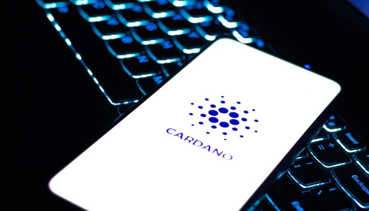 Cardano fordert den Marktabschwung heraus: Explosion von Entwicklung und Aktivität