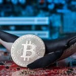 Bitcoin-Wale haben Vertrauen und kaufen massenhaft BTC