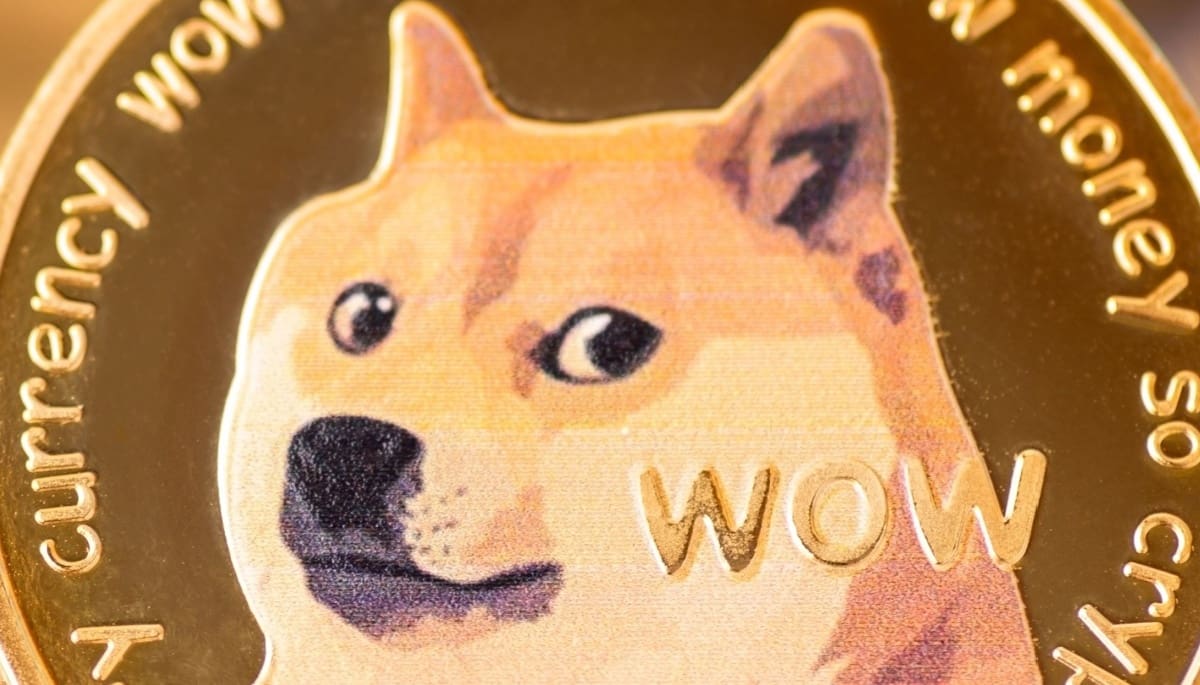 Die legendäre Doge-Meme-Hündin ist im Alter von 17 Jahren verstorben.