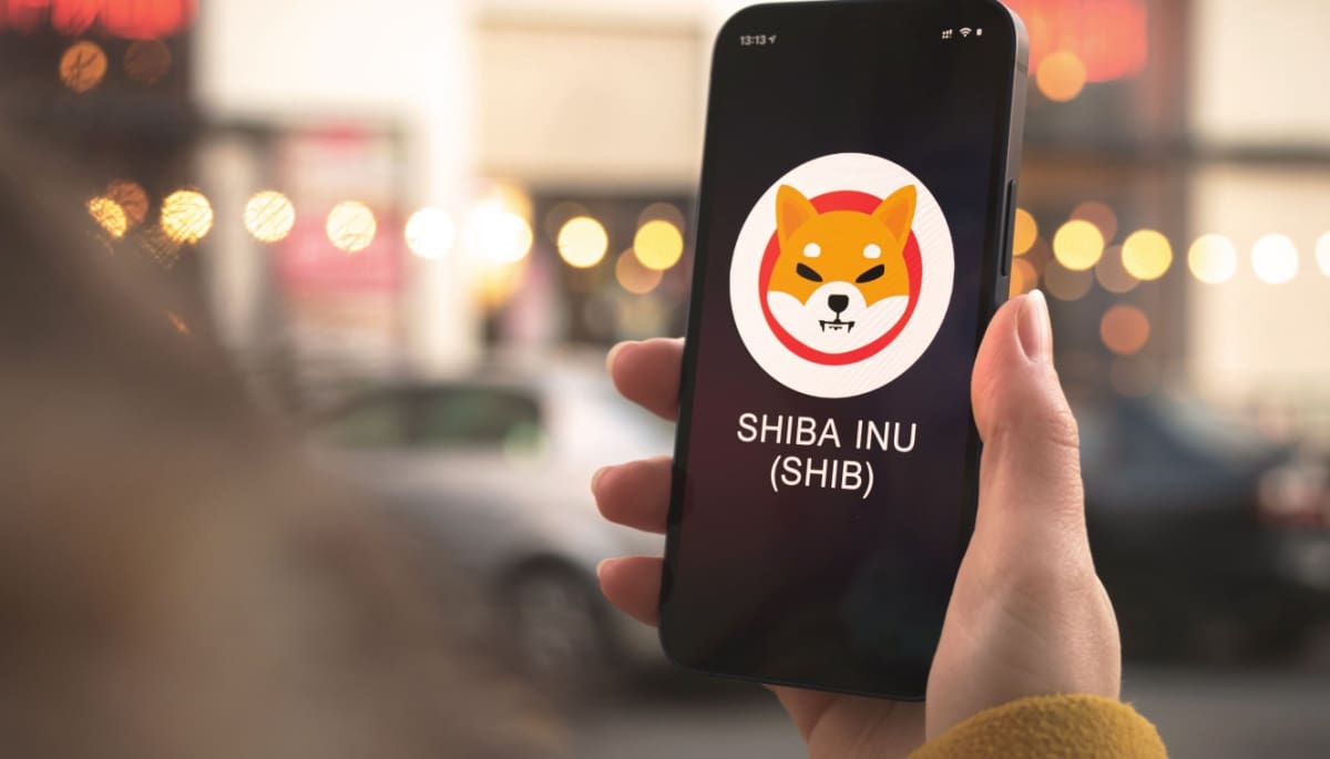 Kryptomillionär erklärt: So hat Shiba Inu schnell 1,24 Millionen gesammelt