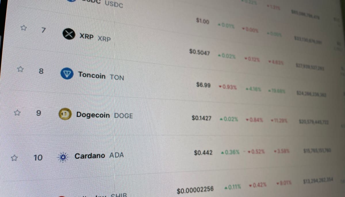 Krypto-Radar: Toncoin bereits 50% im Plus, das ist der Grund