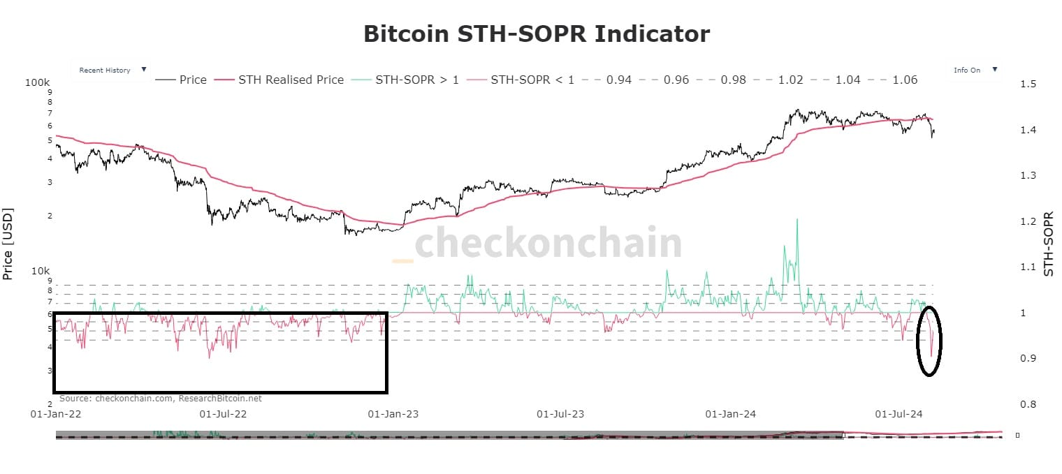 Der Bitcoin STH-SOPR-Indikator