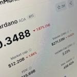 Cardano verliert an Boden: Experten bestimmen den entscheidenden Preispunkt