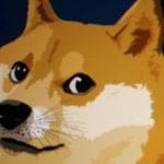 Dogecoin gehackt: 70% des Netzwerks fällt aus