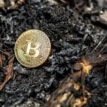 Ein Partner wirft versehentlich Bitcoin im Wert von 744 Millionen Euro in den Müll