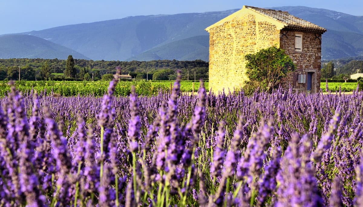 Dieses B&B in Frankreich für 260.000 € zahlt sich schnell aus