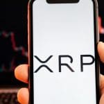 Doppelter Schlag für XRP: Das Interesse sinkt, während der Kurs stark fällt