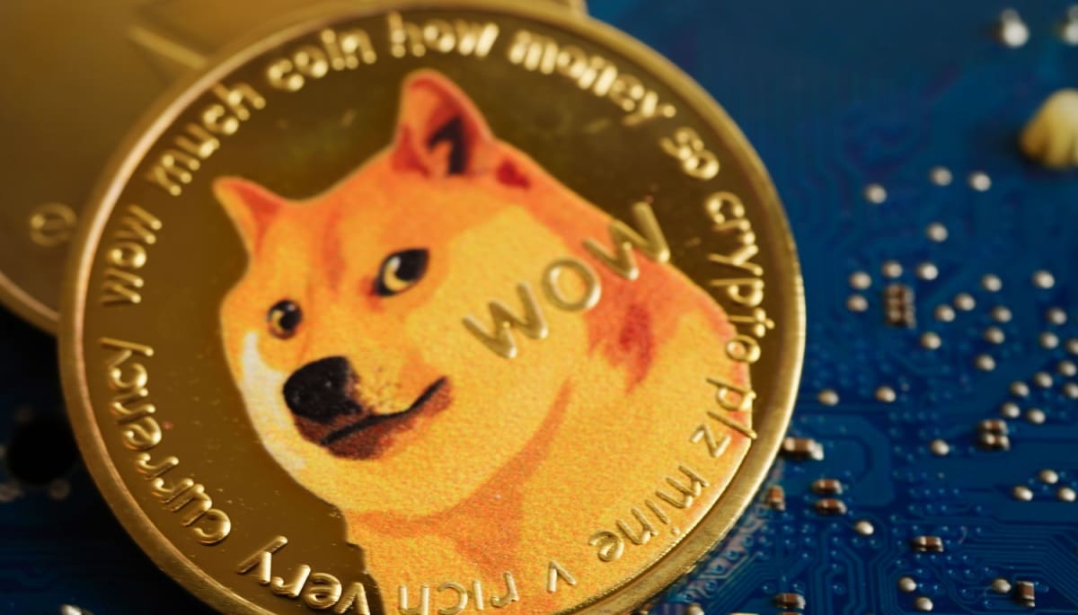 Ein früher Investor verliert eine Million Dogecoin durch Reddit-Betrug