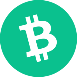 Bitcoin Cash-BCH